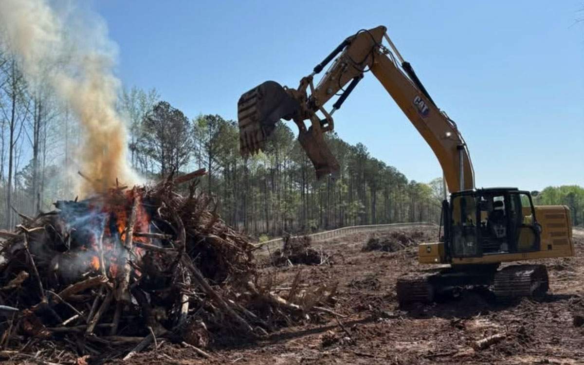 Pasture Clearing